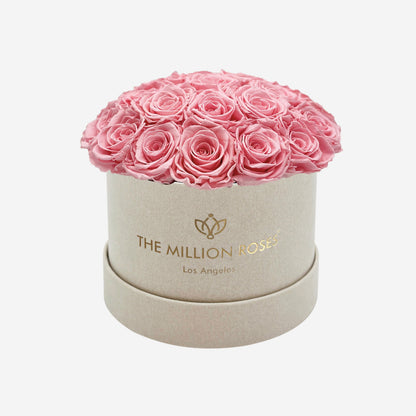 Classic Beige Suede Dome Box | Light Pink Roses