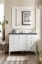 Palisades 48" Single Vanity Cabinet, Bright  White