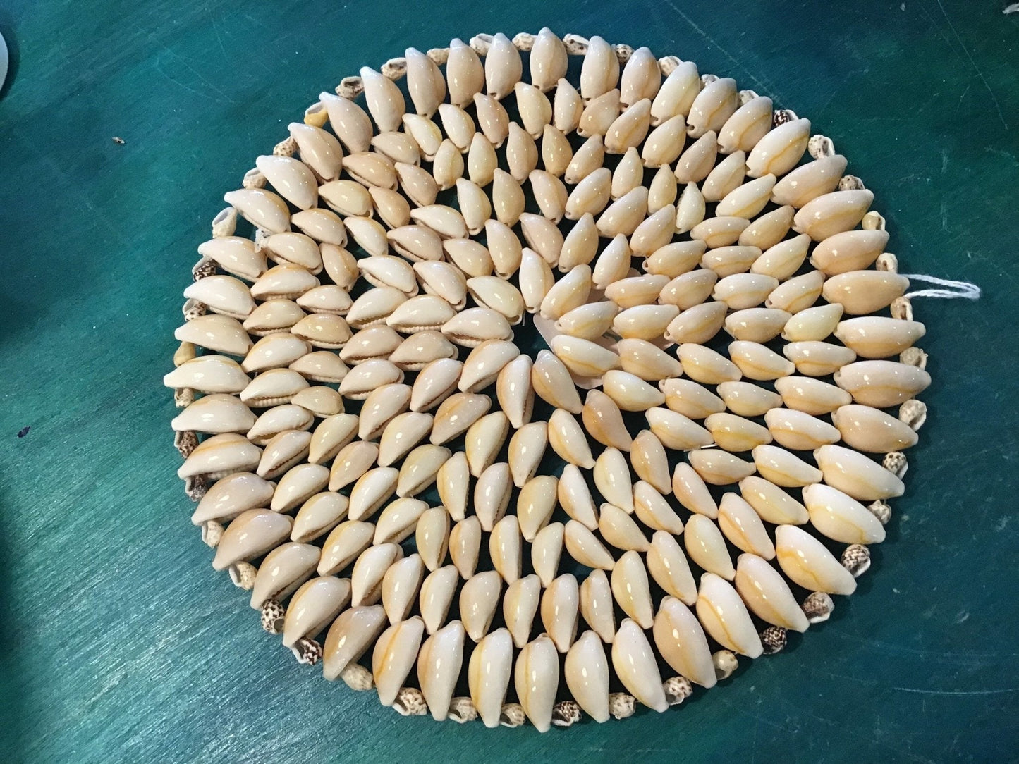 Tan Cowry Shell Trivet Placemat