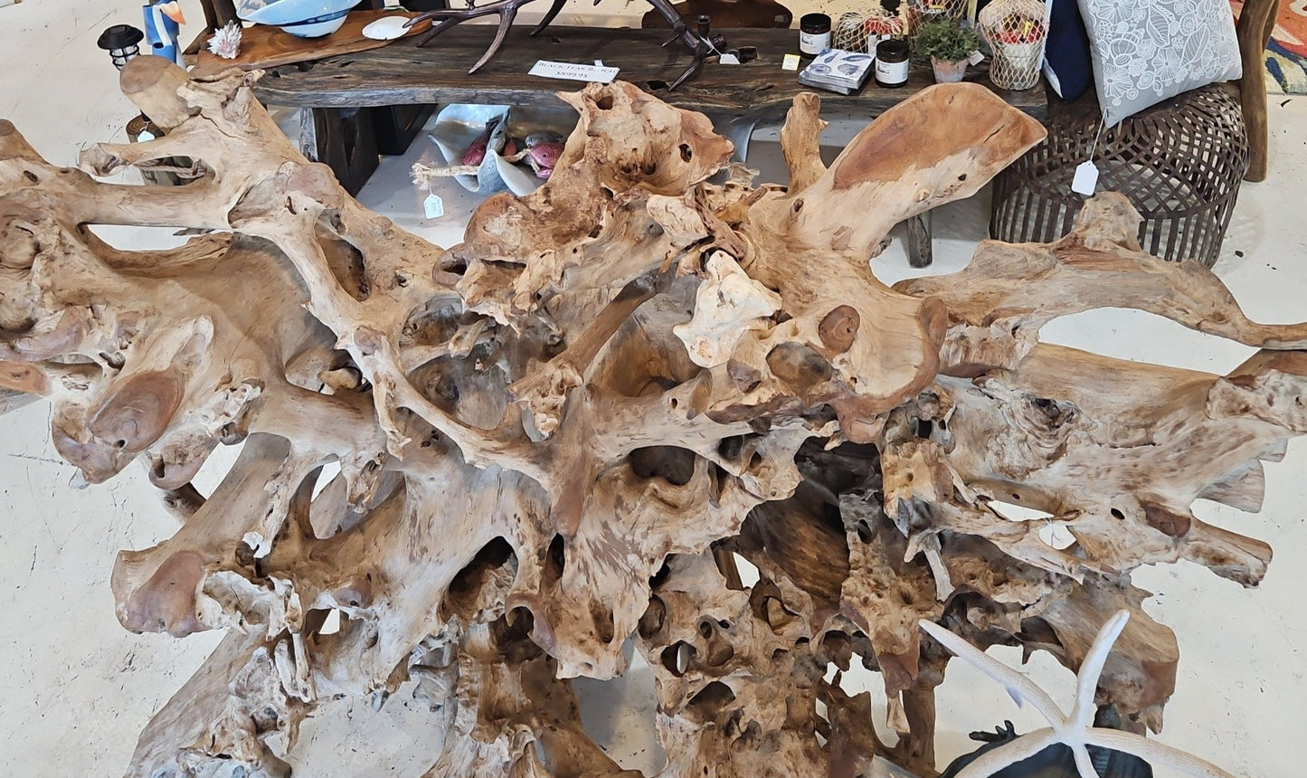 Massive Teak Driftwood Standing Artwork