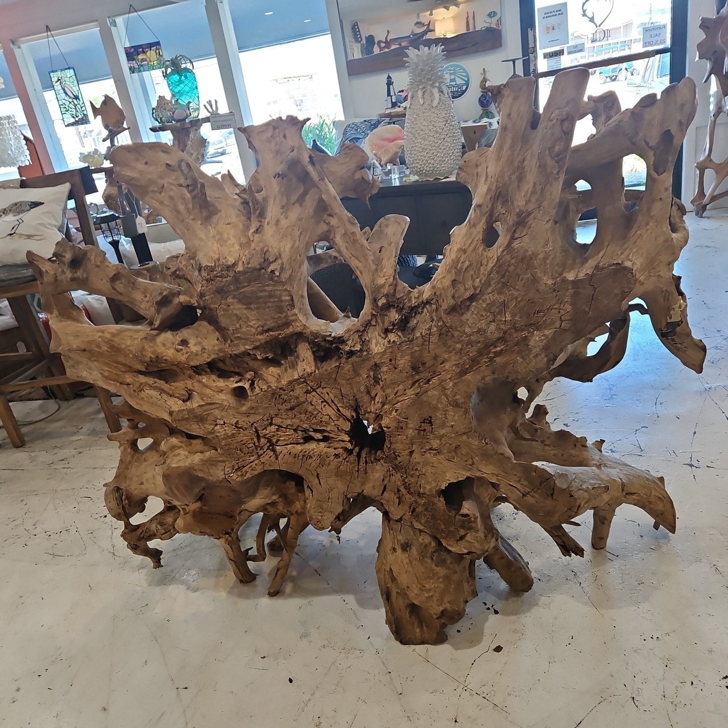 Massive Teak Driftwood Standing Artwork