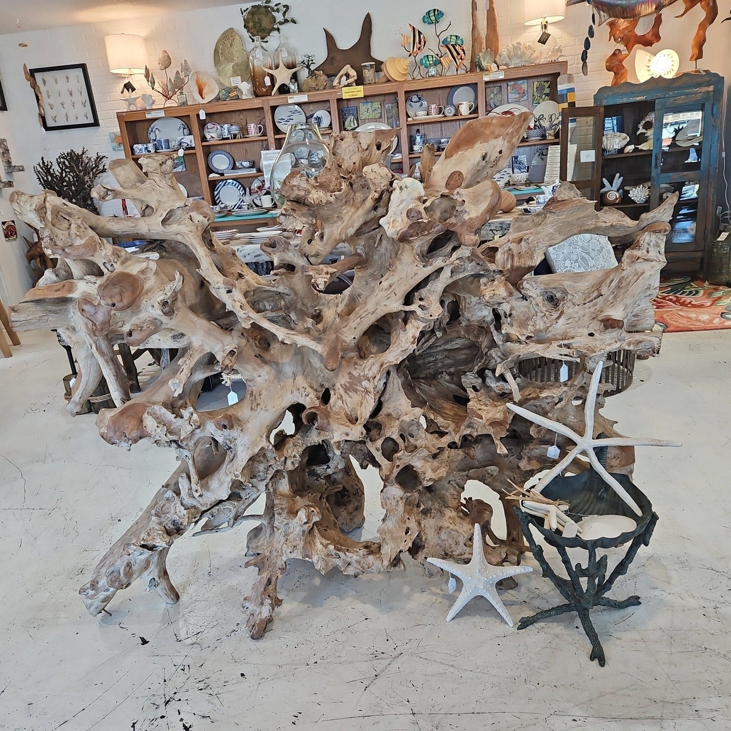 Massive Teak Driftwood Standing Artwork