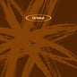 Orbital 2 [The Brown Album] (VINYL) | Mint (M) Mint (M)