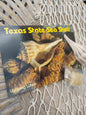 Texas State Lightning Whelk Seashell Gift Pack- Vintage Postcard, Egg Casing, Baby Shells
