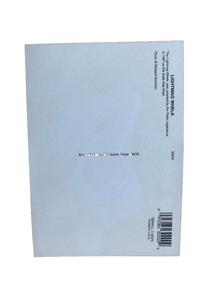 Texas State Lightning Whelk Seashell Gift Pack- Vintage Postcard, Egg Casing, Baby Shells