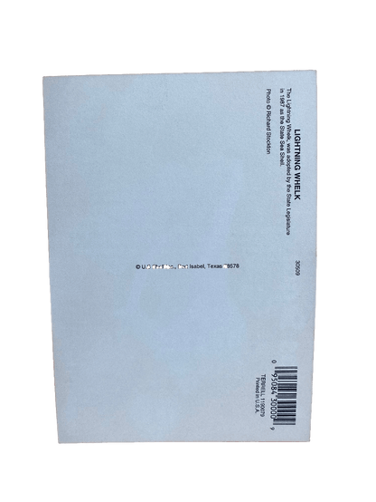 Texas State Lightning Whelk Seashell Gift Pack- Vintage Postcard, Egg Casing, Baby Shells