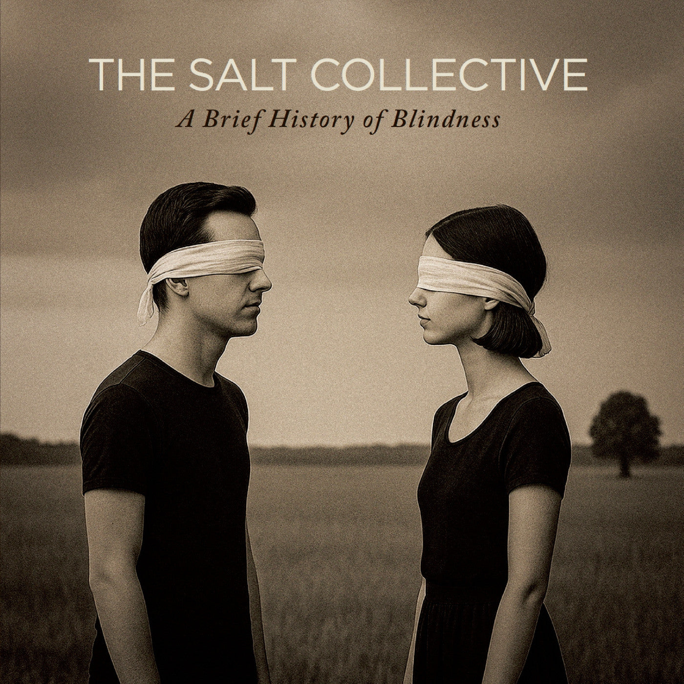 (PRE-ORDER 11/21/25) A Brief History Of Blindness (CD) | Mint (M) Mint (M)