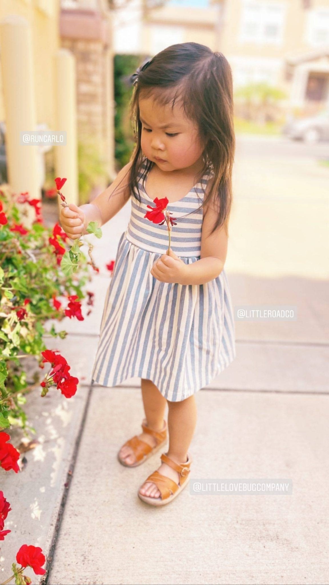 The Sebby Sandal