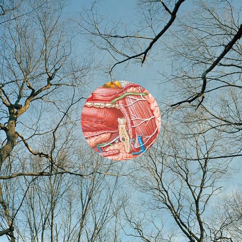 (PRE-ORDER 9/26/25) Glean (RED VINYL) | Mint (M) Mint (M)