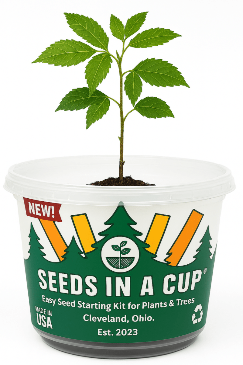 Cabbage | Plant Seed Starter Grow Kit | Seeds In A Cup®