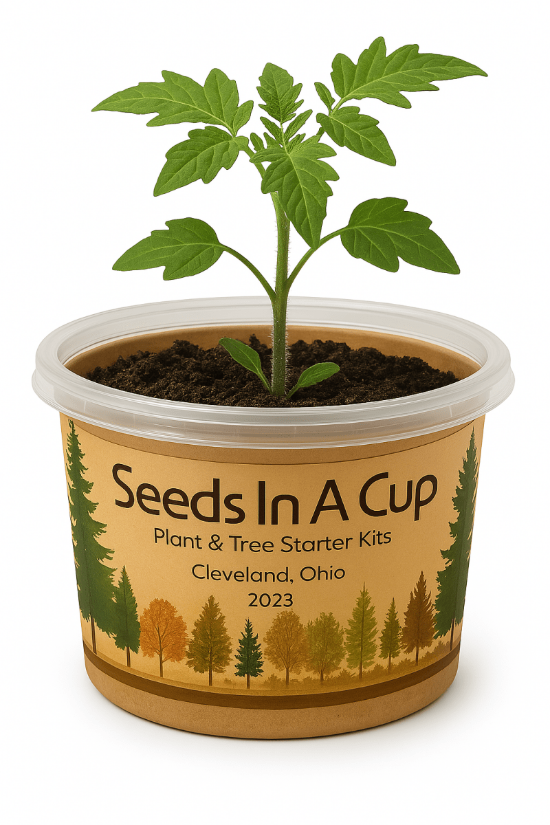 Sunflower | Plant Seed Starter Grow Kit | Seeds In A Cup®
