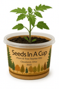 Squash | Plant Seed Starter Grow Kit | Seeds In A Cup®