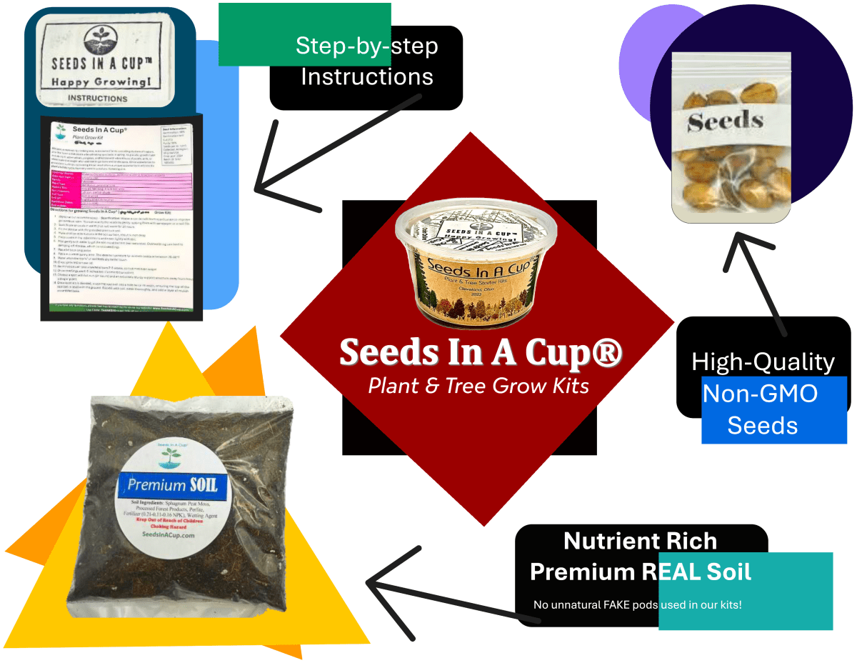 Cabbage | Plant Seed Starter Grow Kit | Seeds In A Cup®