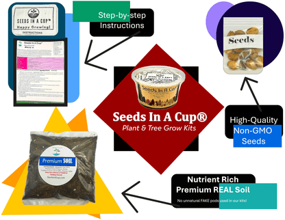 Cabbage | Plant Seed Starter Grow Kit | Seeds In A Cup®