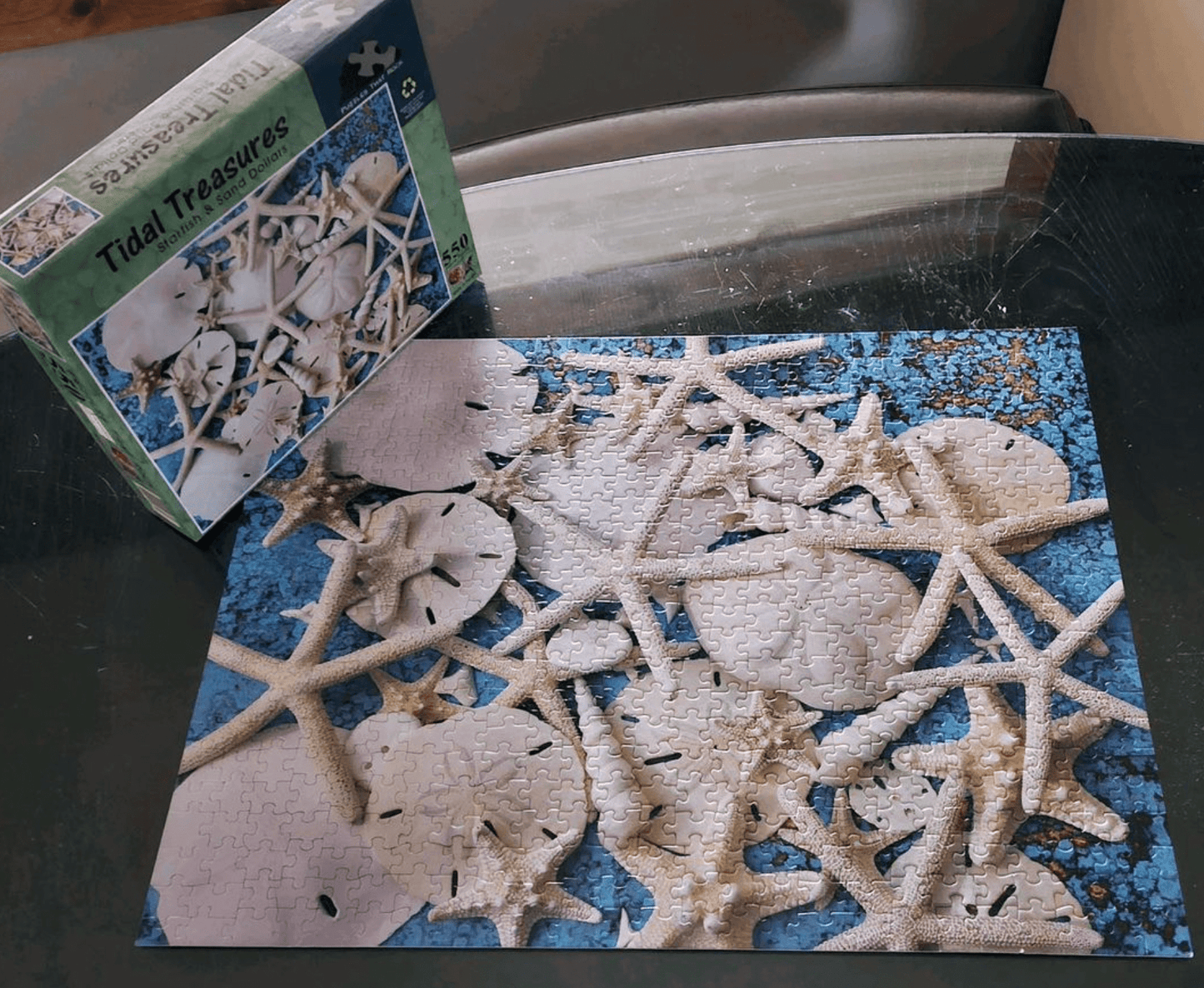 Tidal Treasure, Starfish & Sand Dollars, 550 Piece Puzzle