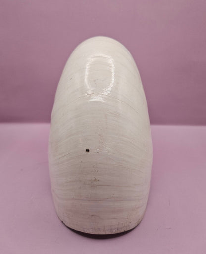 Tiger Nautilus Shell – Striking Natural Ocean Decor (8.5")
