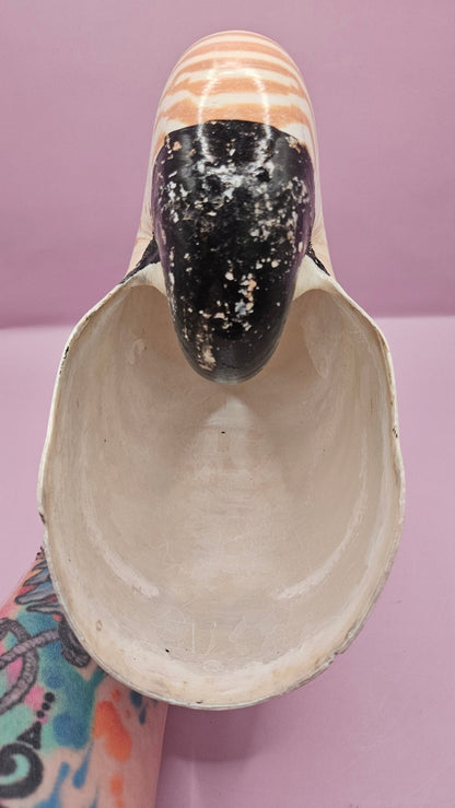 Tiger Nautilus Shell – Striking Natural Ocean Decor (8.5")