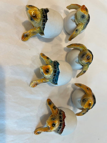 Turtle Egg- 3 Colors and Styles