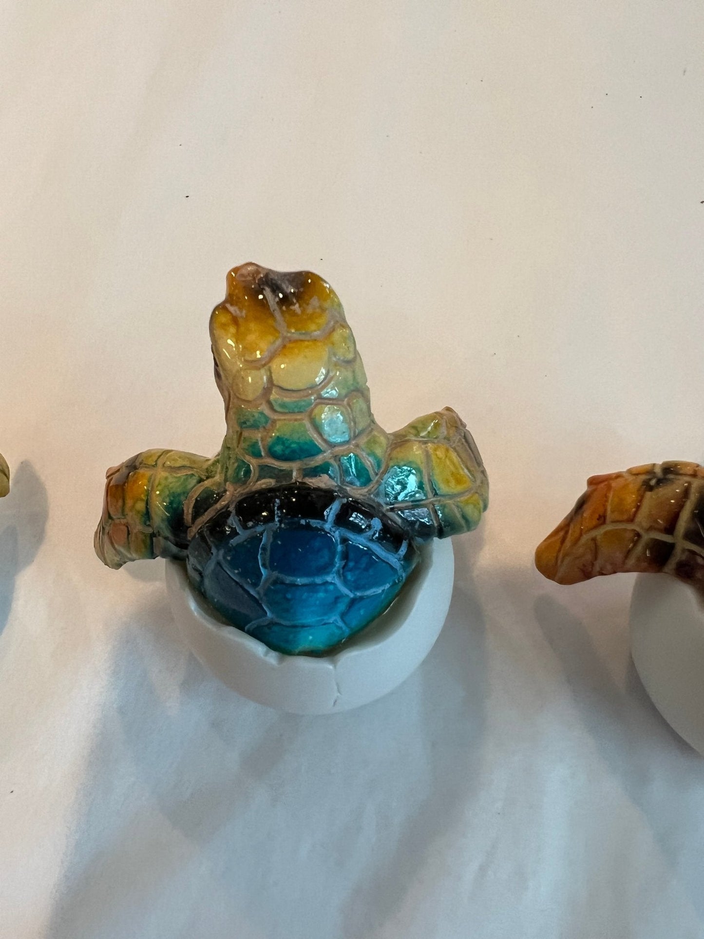Turtle Egg- 3 Colors and Styles