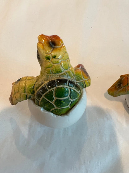 Turtle Egg- 3 Colors and Styles