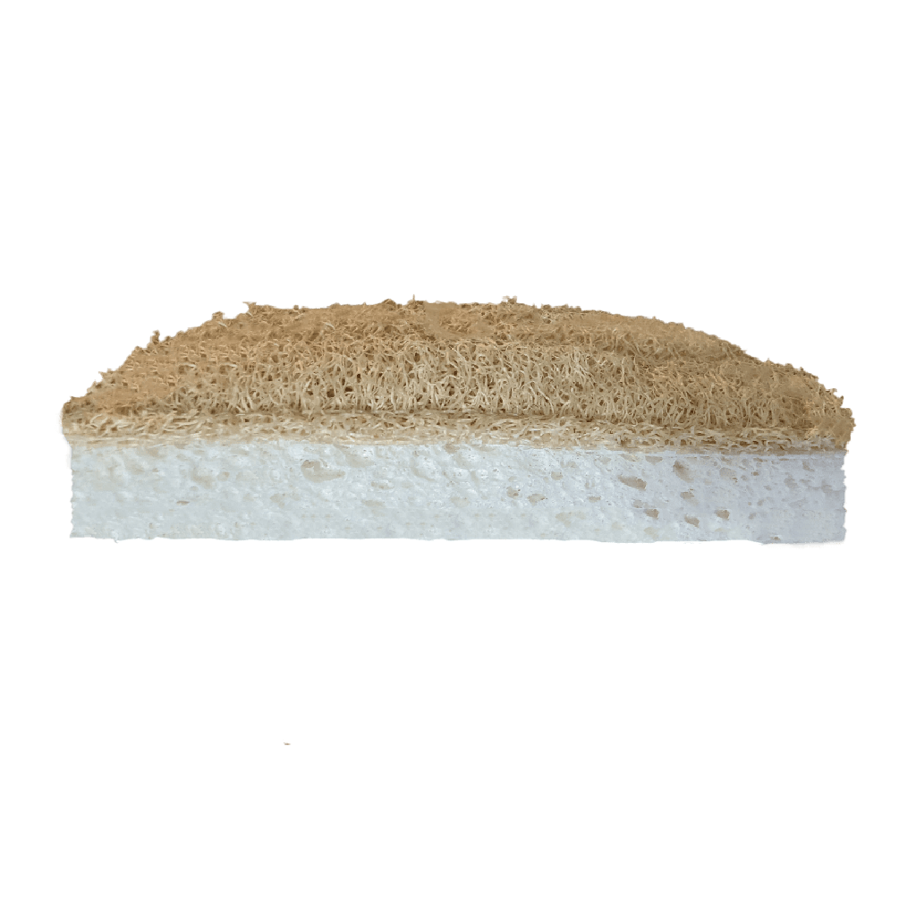 Dual-Sided Eco-Sponge