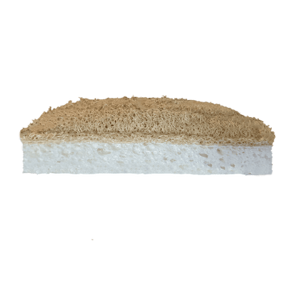 Dual-Sided Eco-Sponge