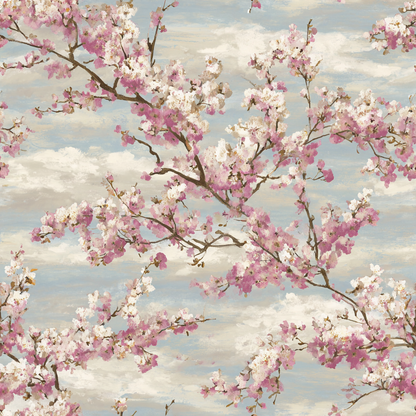 Clouded Sakura Sky Wallpaper