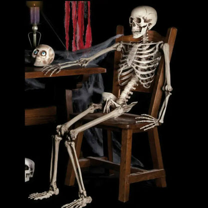 Realistic Skeleton Model