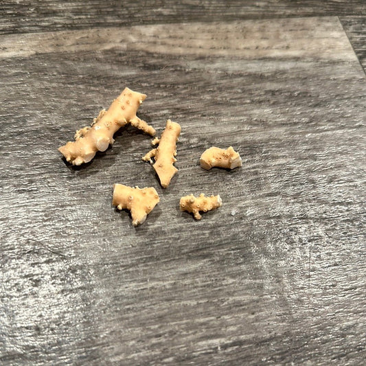 Ultra RARE Vintage Ivory Peach Stylaster Coral Pieces
