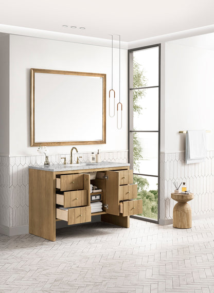 Hudson 48" Single Vanity Cabinet