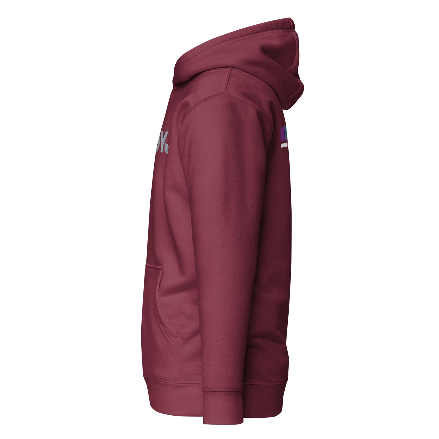 Progress Pride Sport Premium Hoodie