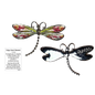 Dragonfly Inspriational Pocket Charm -