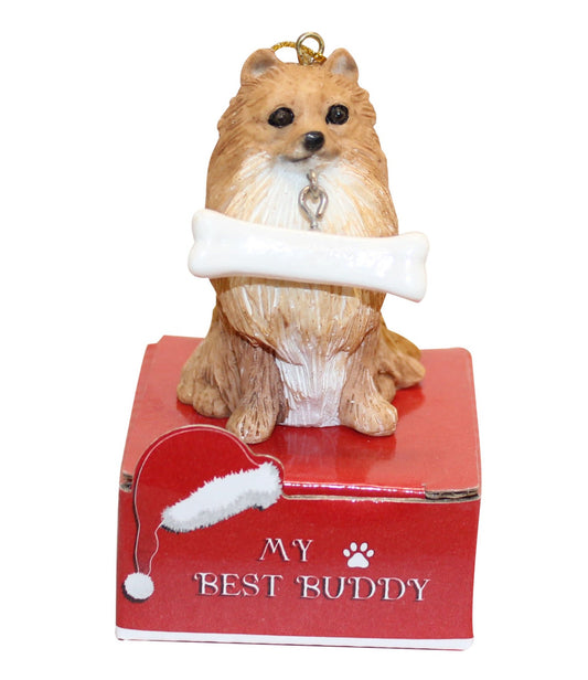 Pomeranian with Bone Ornament