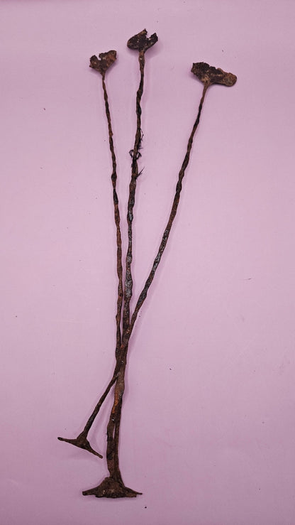 Vintage African Kissi Pennies - Traditional Iron Currency