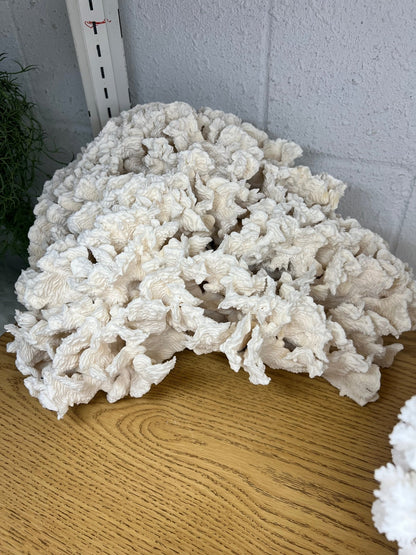 Vintage Giant Rugosa- 17"