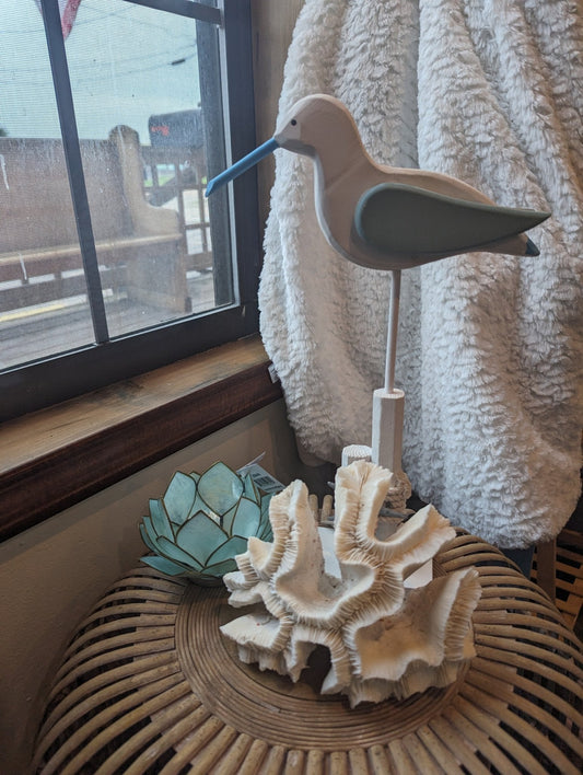 Vintage Open Brain Coral Display – Trachyphyllia – 8x4x5 Coastal Decor Specimen