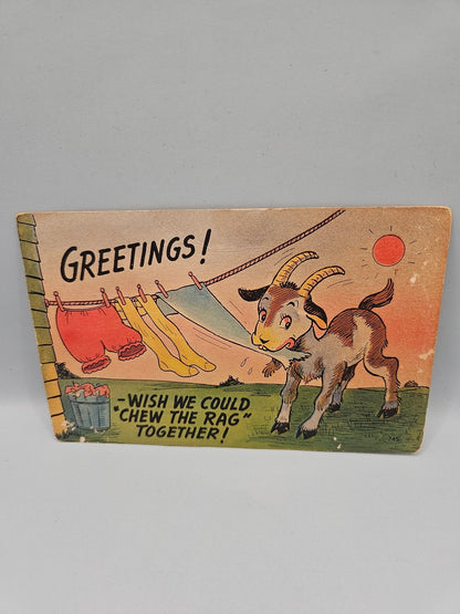Vintage Postcards – Perfect for Crafting, Scrapbooking, and Ephemera- 5.5"x3.5"