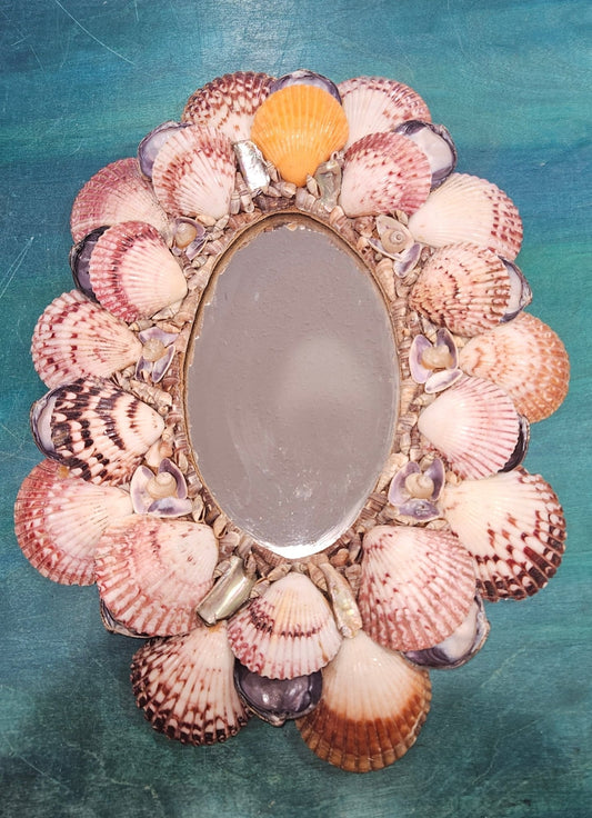 Vintage Seashell Mirror - Coastal Shell Decor (16x12)