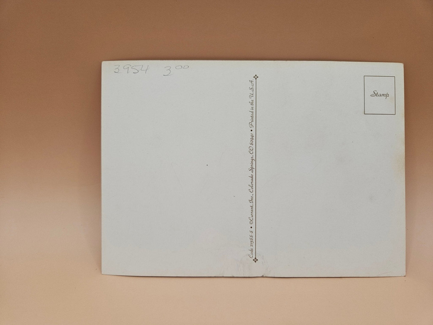 Vintage Thanksgiving Postcards