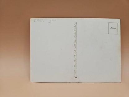 Vintage Thanksgiving Postcards