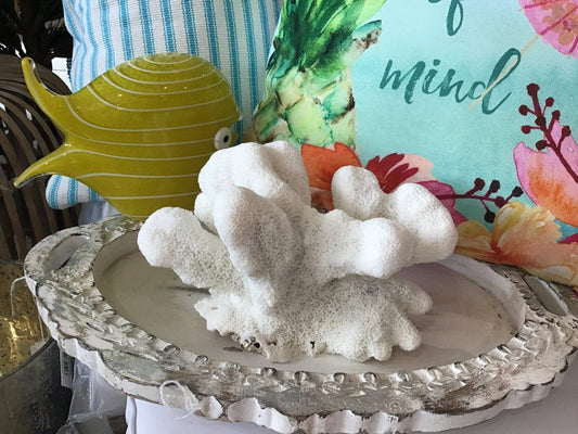 Vintage White Catspaw Coral- 8.5"