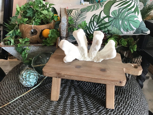 Vintage White Catspaw Coral- 9" Genuine Reef Decor