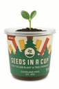 Onion | Plant Seed Starter Grow Kit | Seeds In A Cup®