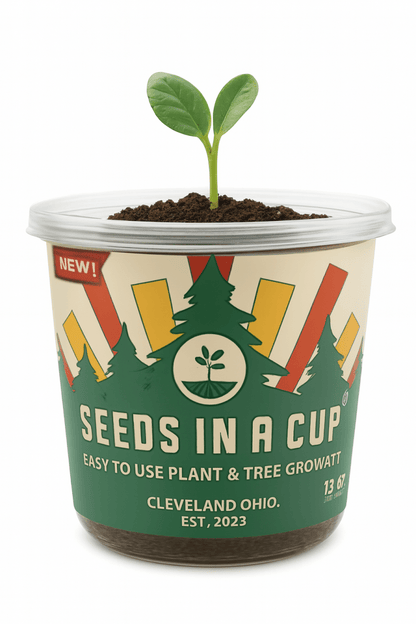 English Ivy Vine | Seed Starter Grow Kit | Seeds In A Cup®