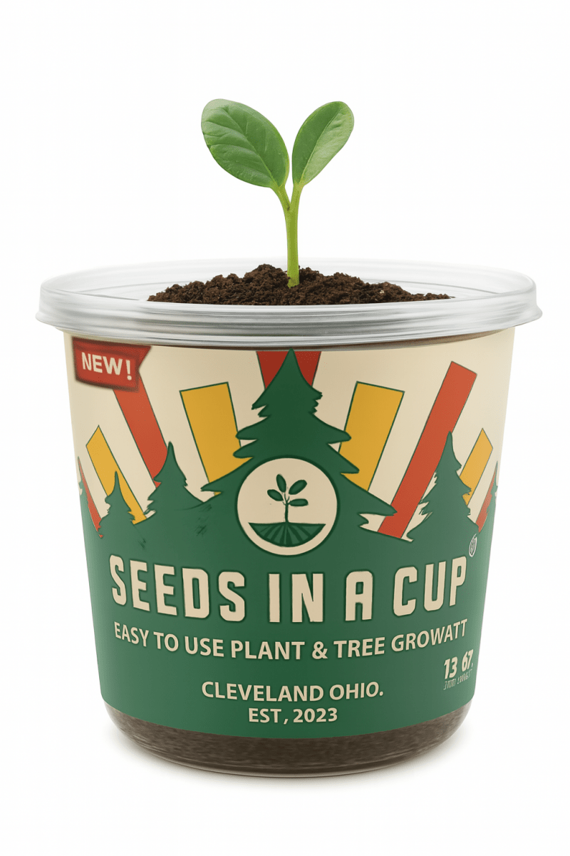 Cucumber | Plant Seed Starter Grow Kit | Seeds In A Cup®