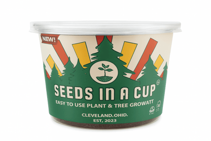 Southern Magnolia Tree | Seed Starter Grow Kit | Seeds In A Cup®