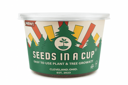 English Ivy Vine | Seed Starter Grow Kit | Seeds In A Cup®