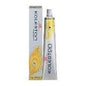 Wella Koleston Perfect Hair Color 12/22 Special Blonde/Matt Intense