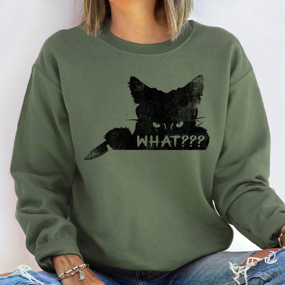 What??? Cat Halloween Sweatshirt