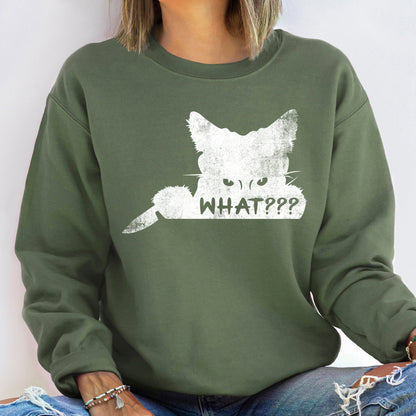 What??? Cat Vintage Halloween Sweatshirt